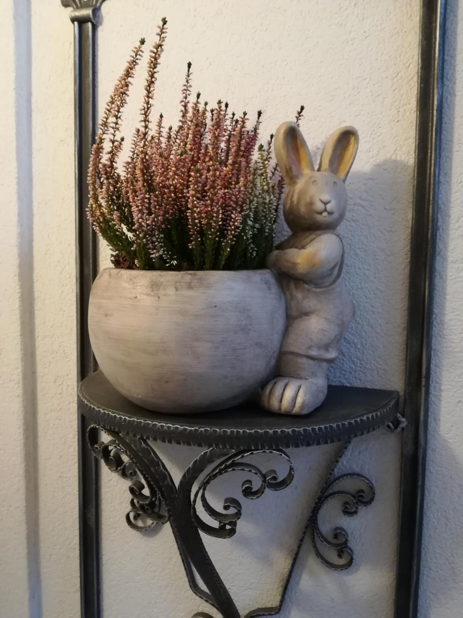 Il Nido B&B Villa d'Allegno Zimmer foto